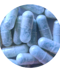 Blue Freezie MDMA Capsules