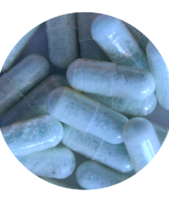Blue Dolphin MDMA Capsules