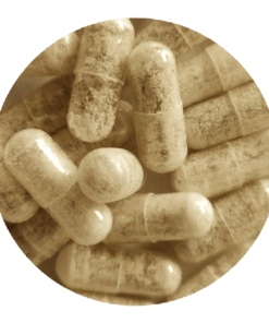 Limitless MDMA Capsules - 10 CAPSULES