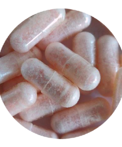 Pink Rhino MDMA Capsules