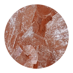 Pink Rhino Molly