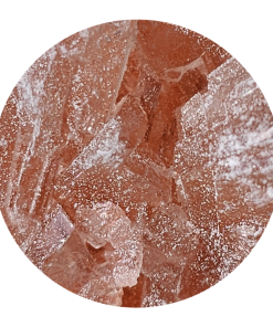 Pink Rhino Molly