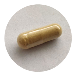 Ginger Root - 250mg