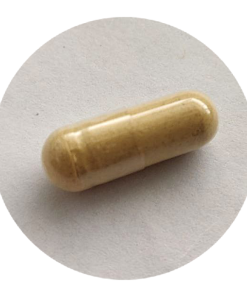 Ginger Root - 250mg