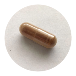 Green Tea Extract - 400mg