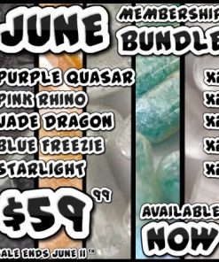 JUNE MEMBERSHIP BUNDLE (5th - 11th)