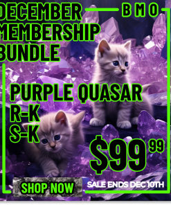 DECEMBER MEMBERSHIP BUNDLE (4th - 10th)