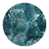 BULK - Blue Dolphin Molly